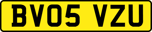 BV05VZU
