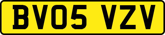 BV05VZV