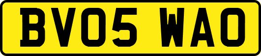 BV05WAO