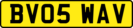 BV05WAV