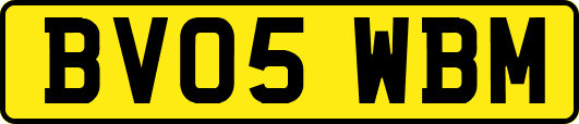 BV05WBM