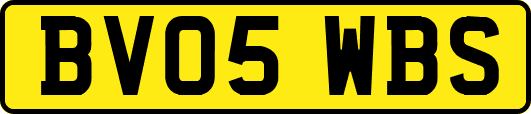 BV05WBS