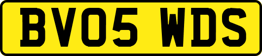 BV05WDS