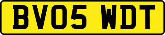 BV05WDT