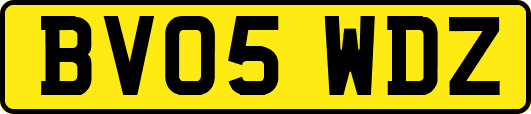 BV05WDZ