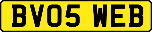 BV05WEB