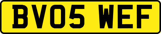 BV05WEF