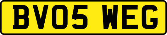 BV05WEG