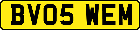 BV05WEM