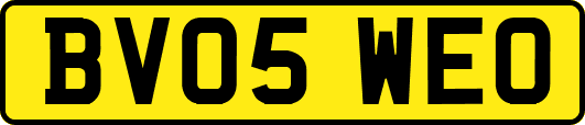 BV05WEO