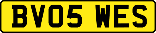 BV05WES
