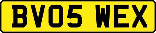 BV05WEX