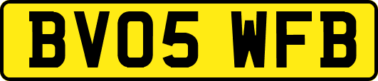 BV05WFB