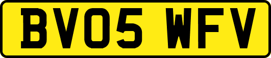 BV05WFV