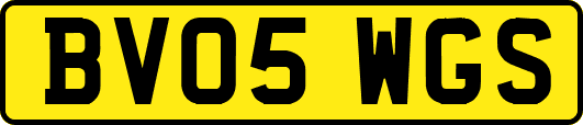 BV05WGS