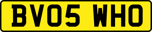 BV05WHO