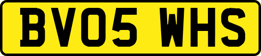 BV05WHS