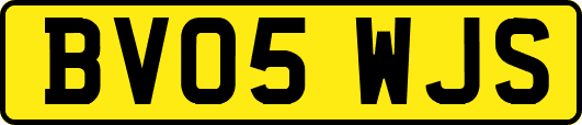 BV05WJS