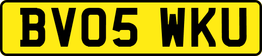 BV05WKU