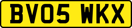 BV05WKX