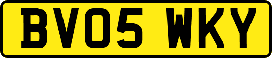 BV05WKY