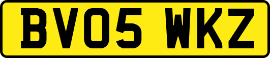 BV05WKZ
