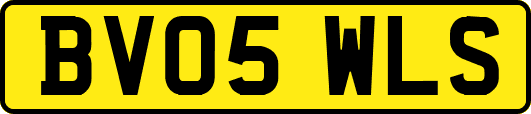 BV05WLS