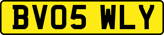 BV05WLY