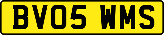 BV05WMS