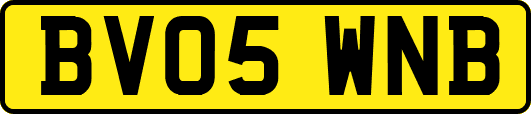 BV05WNB