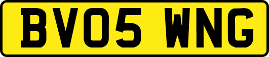 BV05WNG