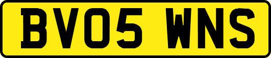 BV05WNS