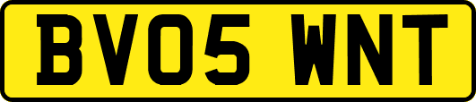 BV05WNT