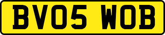 BV05WOB