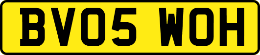 BV05WOH