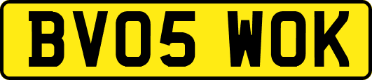 BV05WOK