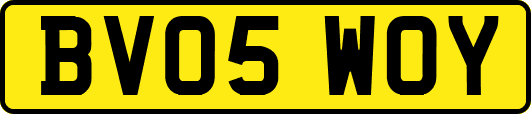 BV05WOY