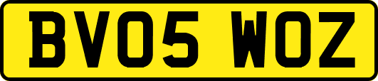 BV05WOZ