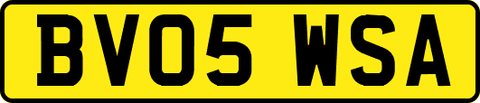 BV05WSA