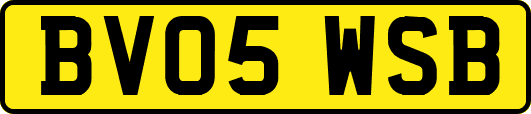 BV05WSB