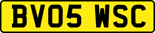 BV05WSC