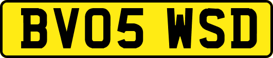 BV05WSD