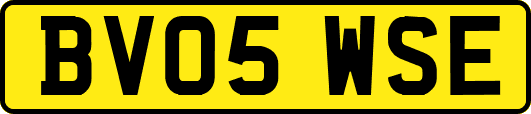 BV05WSE