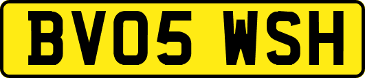 BV05WSH