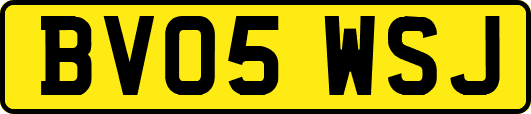 BV05WSJ