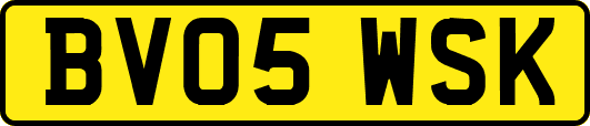 BV05WSK