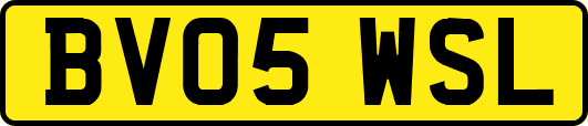 BV05WSL