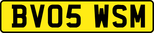 BV05WSM