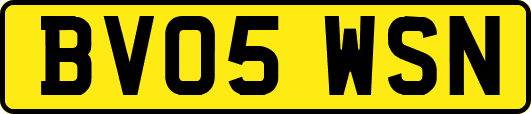 BV05WSN
