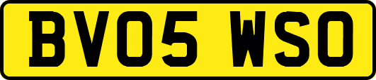 BV05WSO